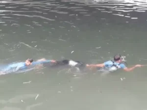 whatsappvideo2026-03-29at101228am-ezgifcom-resize_1774759927