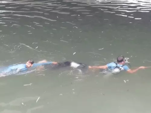 whatsappvideo2026-03-29at101228am-ezgifcom-resize_1774759927