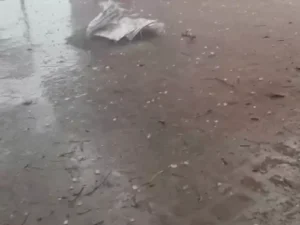 whatsappvideo2026-03-29at72016pm-ezgifcom-resize_1774797008