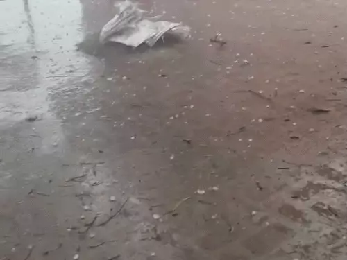 whatsappvideo2026-03-29at72016pm-ezgifcom-resize_1774797008