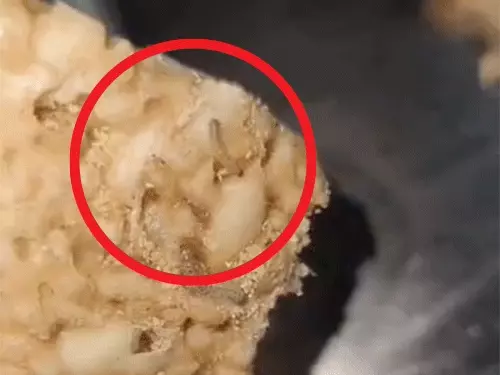 Sonipat anganwadi issue