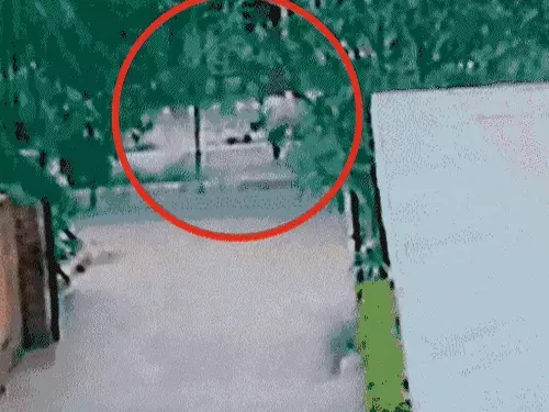 Chandigarh BJP blast case