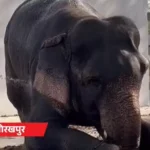 UP heatwave 45 degree,