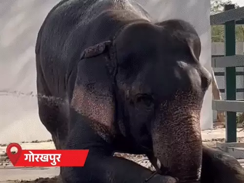 UP heatwave 45 degree,