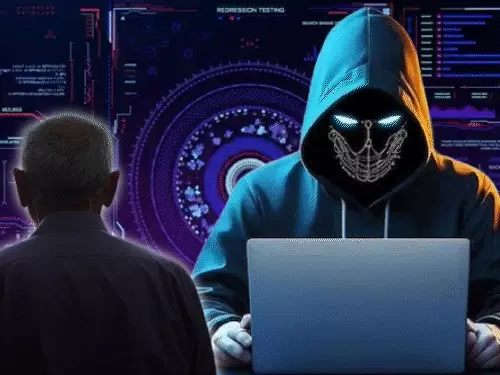 Hisar cyber fraud case