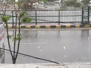 Haryana weather update,
