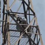 Sonipat tower incident