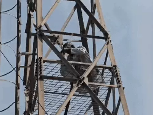 Sonipat tower incident