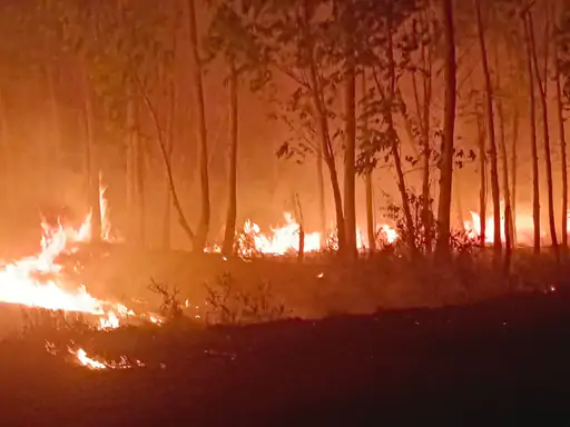 Israna forest fire Panipat Haryana