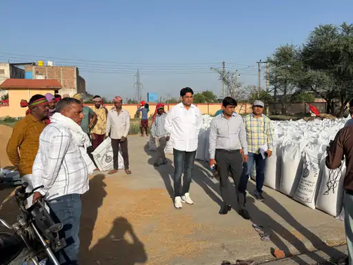 Israna wheat procurement