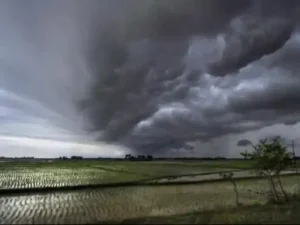 weak monsoon India,