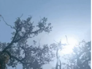 Bihar weather update
