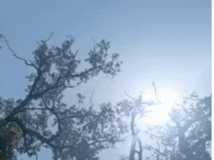 Bihar weather update