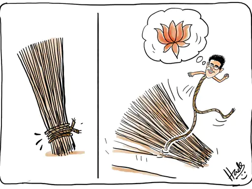 Raghav Chadha BJP rumor,