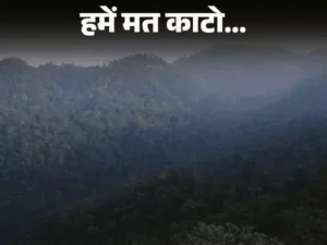 Haryana tree protection law,