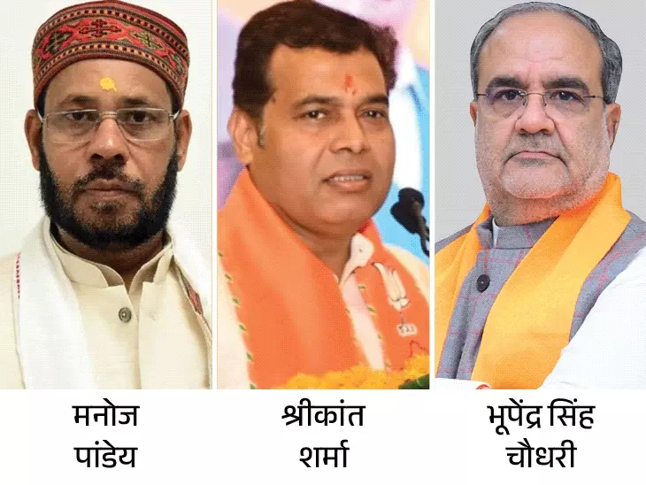 Yogi cabinet expansion,
