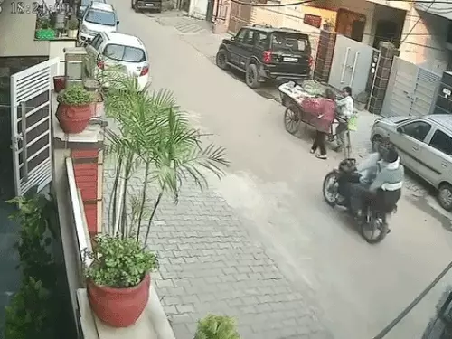 Ludhiana chain snatching,