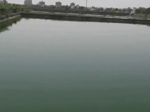 रेवाड़ी में गहराया जल संकट: सिर्फ 30% पानी बचा, रोटेशन से होगी सप्लाई