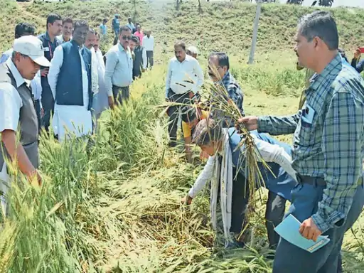 Haryana patwari recruitment