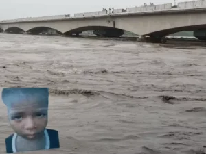 Panipat Yamuna drowning,
