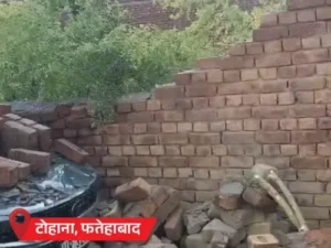 हरियाणा में 80 KM/H की रफ्तार से चला तूफान, हिसार में डेयरी की छत उड़ने से 15 गायों की मौत; कुरुक्षेत्र में करंट लगने से दुकानदार की जान गई