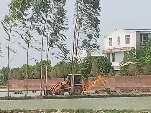 नौल्था में 2 एकड़ गोचर भूमि कब्जा मुक्त, 20 साल से हो रही थी खेती; किसान परिवार ने उठाए सवाल