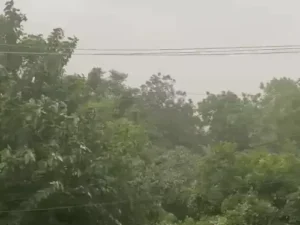 हरियाणा के 10 जिलों में आंधी-बारिश का ऑरेंज अलर्ट, 60 किमी प्रति घंटे की रफ्तार से चलेंगी तेज हवाएं