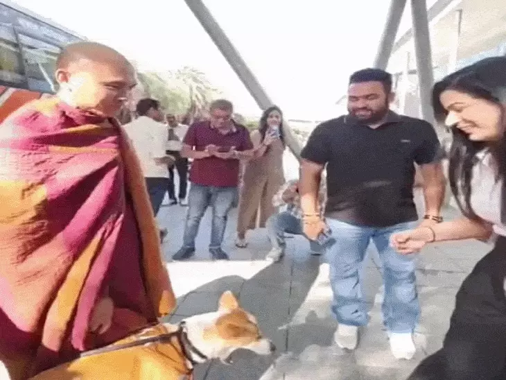 गुरुग्राम में ‘पीस डॉग’ आलोका से मिलने उमड़ी भीड़, 3,700 किमी की पदयात्रा से बना आकर्षण का केंद्र