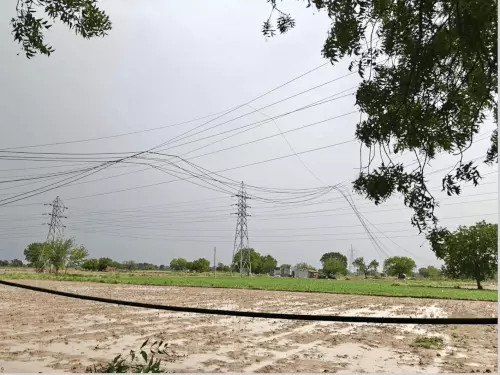 पलवल में आंधी-बारिश का कहर, दो बिजली टावर और 350 खंभे टूटे; शहर में छाया अंधेरा