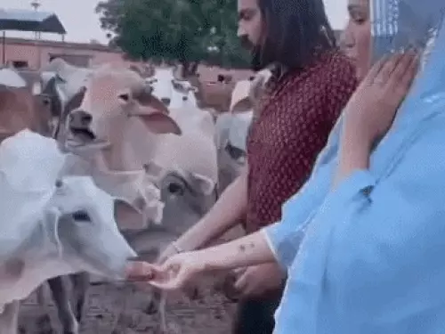 हरियाणा में शिक्षकों का वेतन रुक सकता है, प्रॉपर्टी रिटर्न नहीं भरने वालों को विभाग की अंतिम चेतावनी
