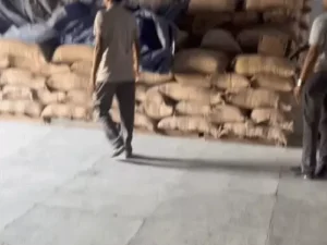 करनाल के FCI गोदाम में गेहूं घोटाले पर सख्ती, जिम्मेदार अधिकारियों से होगी रिकवरी