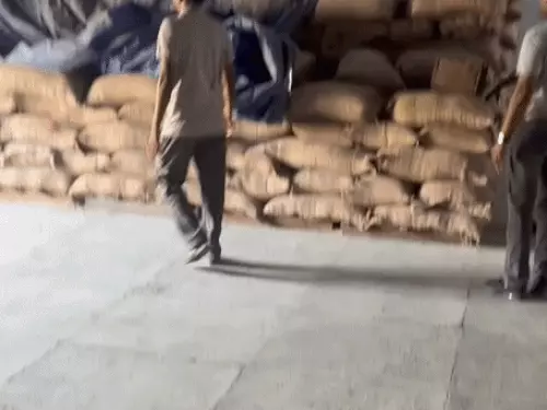 करनाल के FCI गोदाम में गेहूं घोटाले पर सख्ती, जिम्मेदार अधिकारियों से होगी रिकवरी