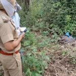 पंचकूला कंकाल केस में बड़ा खुलासा: पोस्टमॉर्टम रिपोर्ट में युवक की पहचान, चोट मारकर की गई थी हत्या; मर्डर की FIR दर्ज
