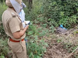 पंचकूला कंकाल केस में बड़ा खुलासा: पोस्टमॉर्टम रिपोर्ट में युवक की पहचान, चोट मारकर की गई थी हत्या; मर्डर की FIR दर्ज