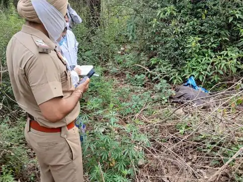 पंचकूला कंकाल केस में बड़ा खुलासा: पोस्टमॉर्टम रिपोर्ट में युवक की पहचान, चोट मारकर की गई थी हत्या; मर्डर की FIR दर्ज