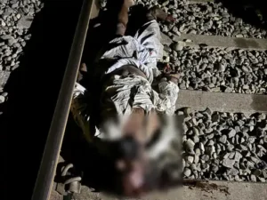 यमुनानगर में ट्रेन की टक्कर से अधेड़ की मौत, शव की पहचान नहीं हो सकी