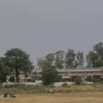 हरियाणा के 7 जिलों में बारिश-आंधी का अलर्ट, 50 KM/H की रफ्तार से चलेंगी हवाएं; किसानों को सावधानी की सलाह