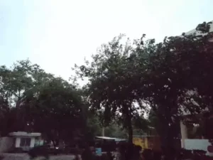 हरियाणा के 13 जिलों में लू का अलर्ट, 45.9°C तक पहुंचा तापमान; कल से मौसम बदलने के आसार