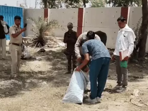 पानीपत में राष्ट्रीय पक्षी मोर की हत्या, पकाकर खाने का आरोप; रेलवे फाटक के पास मिले अवशेष