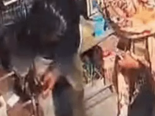 पिंजौर में मोबाइल शॉप में हजारों की चोरी, गल्ला तोड़कर फोन और एसेसरी ले गए; CCTV में कैद हुई वारदात