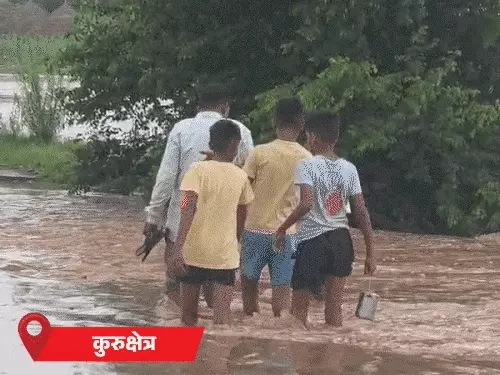 हरियाणा में बारिश का कहर: उफनाईं नदियां, भाई की चिता पर पहरा; पंचकूला में नदी किनारे जाने पर FIR, फरीदाबाद में 10 फीट का अजगर