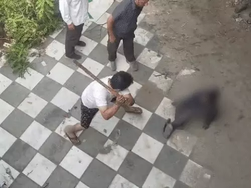 सोनीपत में कोठी में घुसे 2 नाबालिगों की पिटाई का VIDEO वायरल, फर्श पर लिटाकर डंडों से मारने का आरोप; पुलिस जांच में जुटी