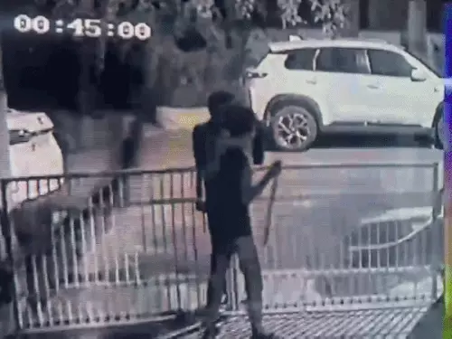 पंचकूला में रिटायर्ड बैंक अधिकारी के घर चोरी: जाली तोड़कर घुसे 3 नकाबपोश, जेवर-नकदी लेकर फरार, VIDEO आया सामने