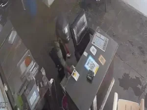पंचकूला में 3 मिनट में डेयरी का गल्ला साफ: हेलमेट पहनकर आया युवक, दुकानदार के बाथरूम जाते ही कैश लेकर फरार