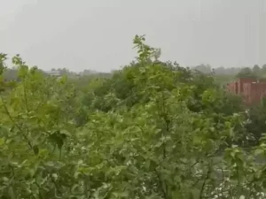 हरियाणा के 4 जिलों में तेज बारिश का अलर्ट: आज से मानसून फिर होगा सक्रिय, 22 जुलाई तक अच्छी बरसात के आसार