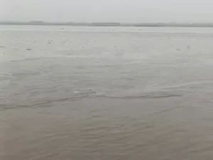 पहाड़ों पर बारिश का असर: हरियाणा में यमुना-मारकंडा उफान पर, खेतों में घुसा पानी; आज 2 जिलों में बारिश का अलर्ट