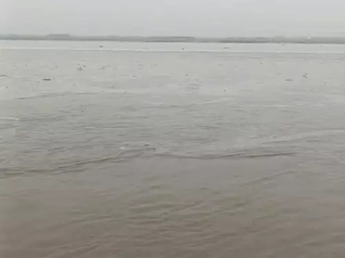 पहाड़ों पर बारिश का असर: हरियाणा में यमुना-मारकंडा उफान पर, खेतों में घुसा पानी; आज 2 जिलों में बारिश का अलर्ट