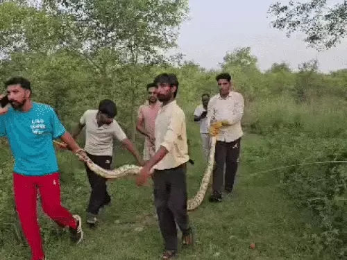 करनाल में अंतिम संस्कार के दौरान मारपीट: सास के थप्पड़ से शुरू हुआ विवाद, व्यक्ति की टांग तोड़ने का आरोप