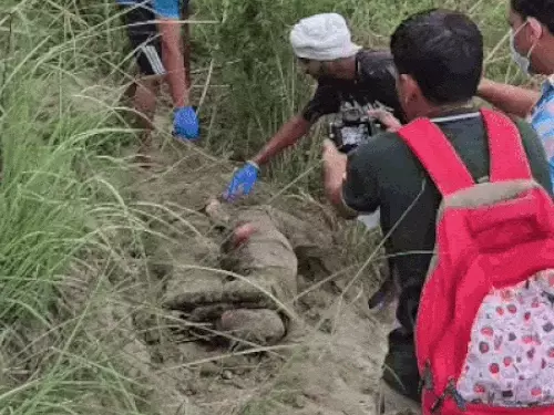 सोनीपत के खेतों में गड्ढे से मिली किशोरी की लाश: कुत्तों के नोचने से हुआ खुलासा, हत्या की आशंका