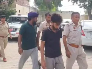 कैथल में 600 कट्टे सब्सिडी वाली यूरिया जब्त, खाद तस्करी के आरोप में 2 गिरफ्तार; जांच के लिए भेजे गए सैंपल